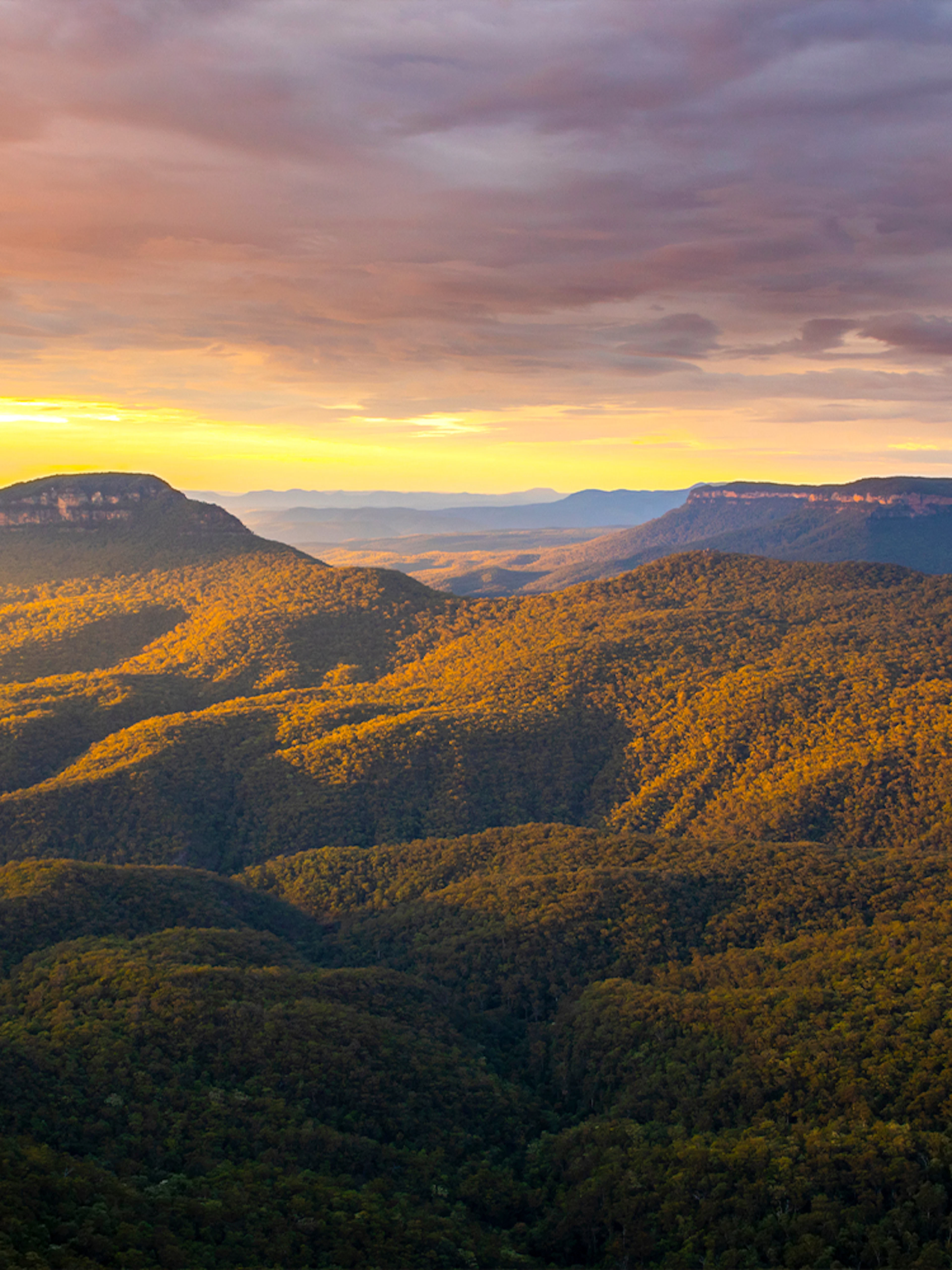 Blue Mountains Australia landscape at sunset with forested hills and distant cliffs.