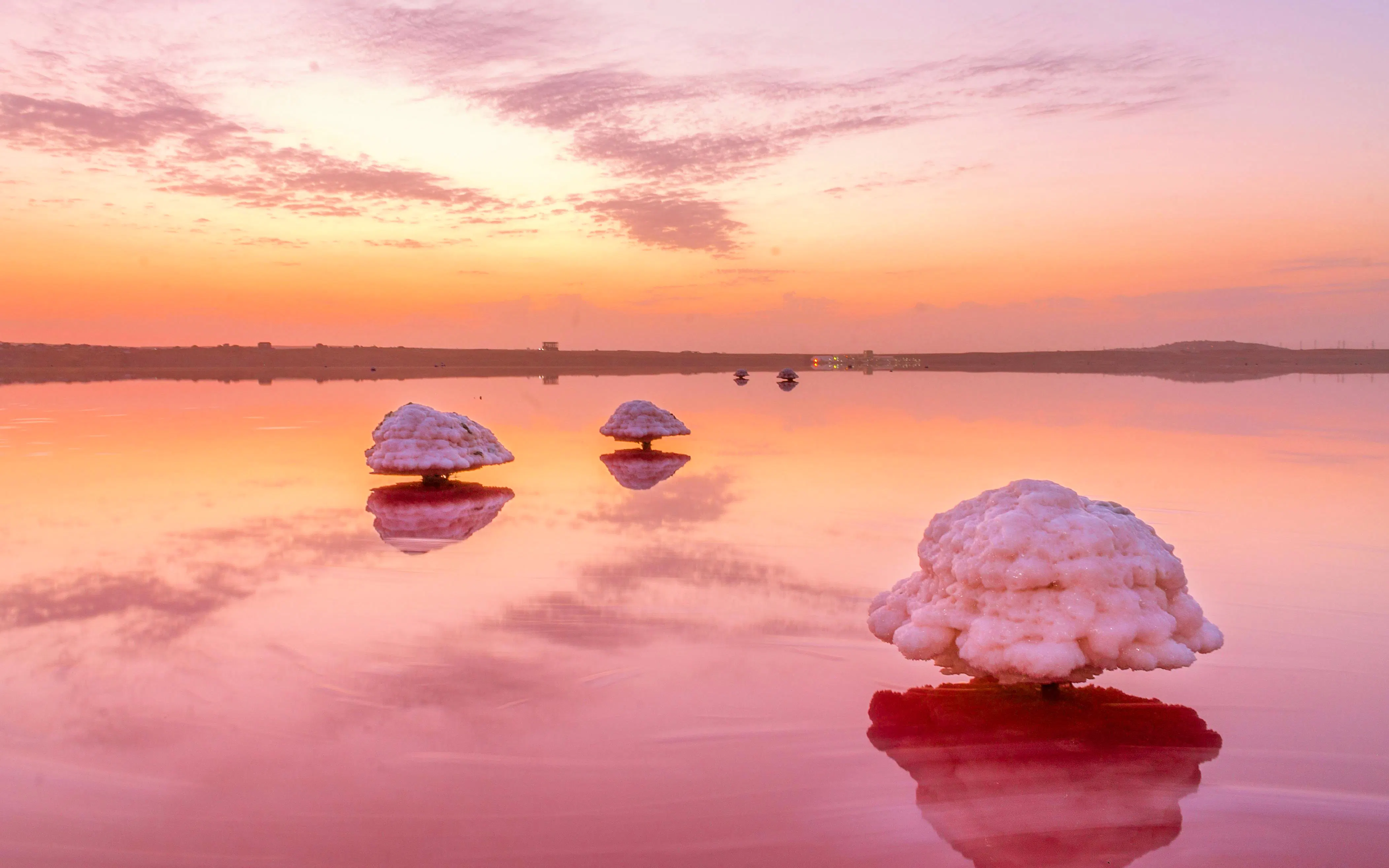Mushroom-shaped salt formations in pink Masazir Lake, Baku, Azerbaijan at sunset.