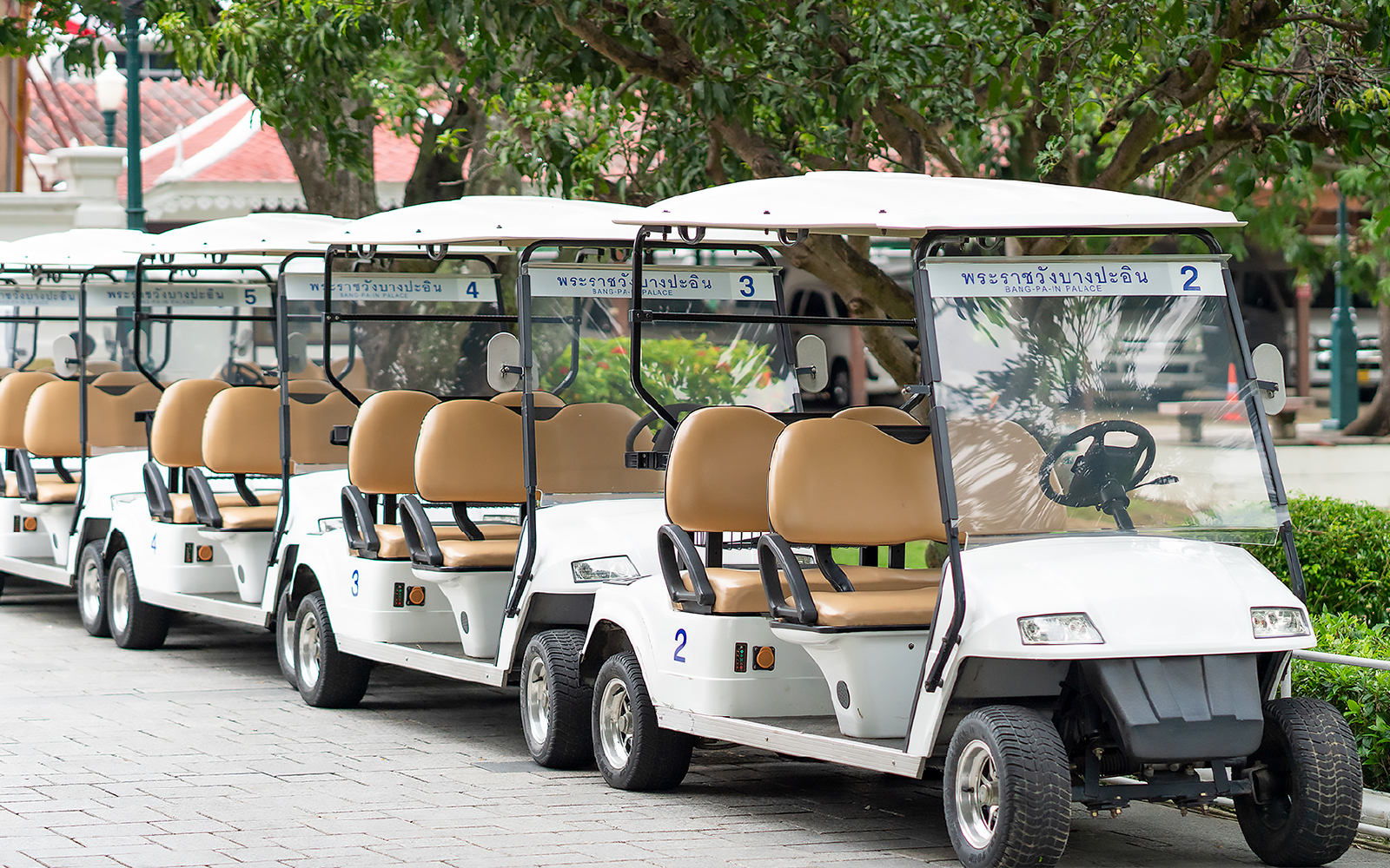 Row of golf carts for visitor transport at Ayutthaya tour location.