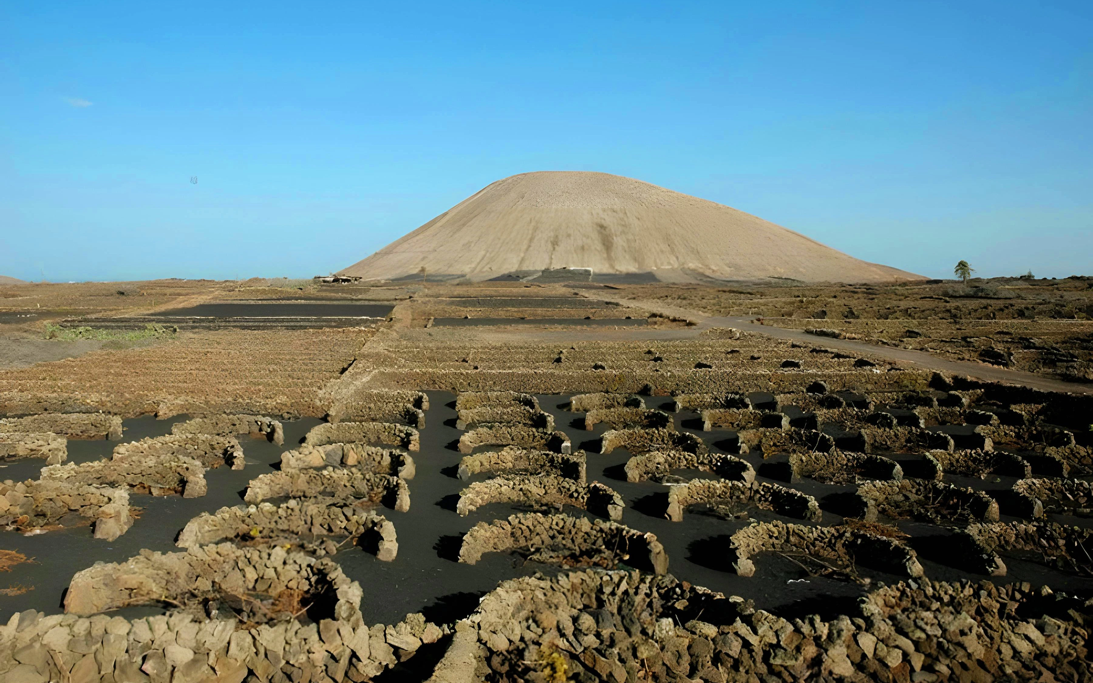 Vineyards in volcanic soil at La Geria, Lanzarote, near Timanfaya National Park, Spain.