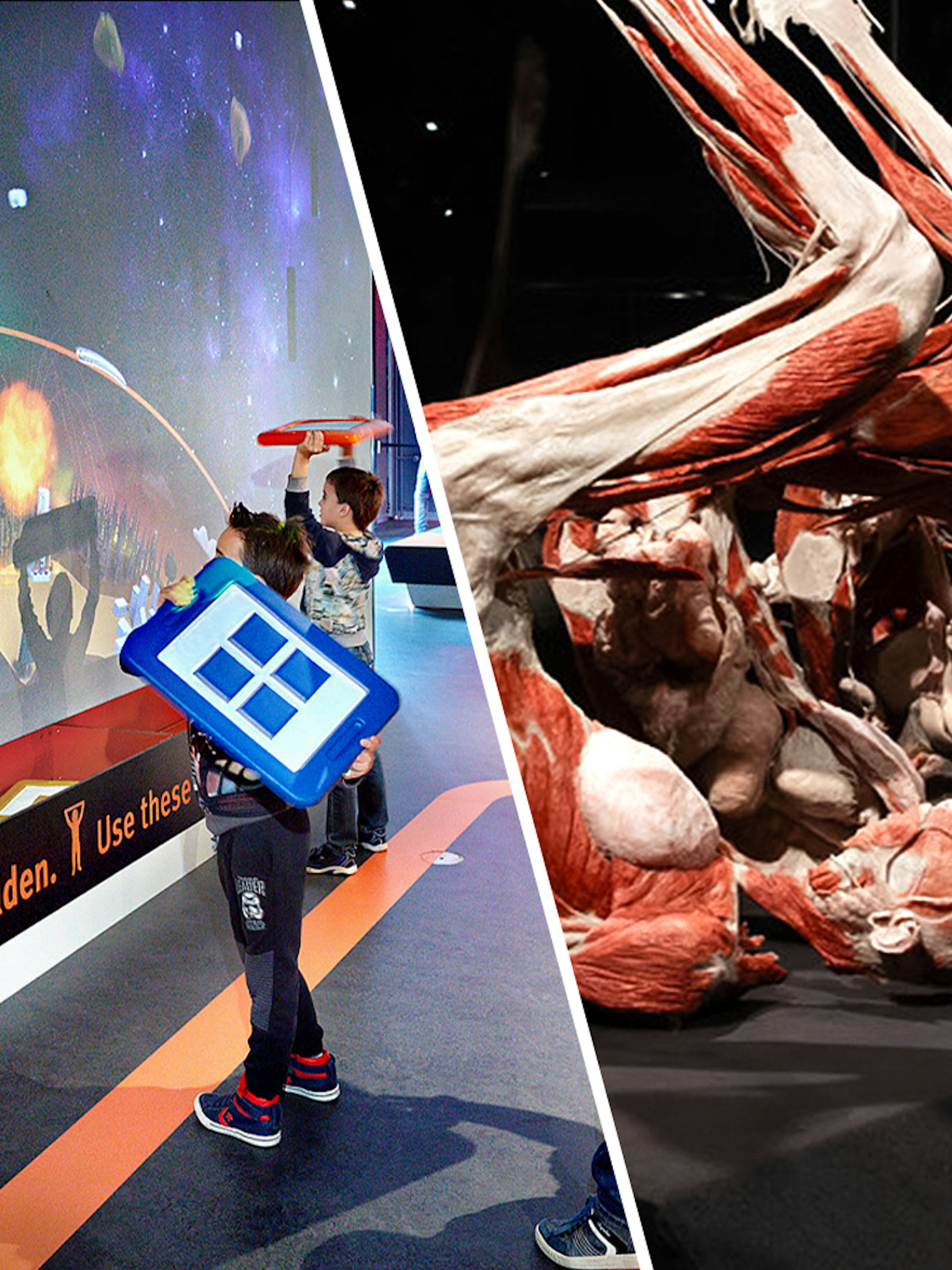 Children interacting with a digital exhibit and anatomical display at Body Worlds Amsterdam.