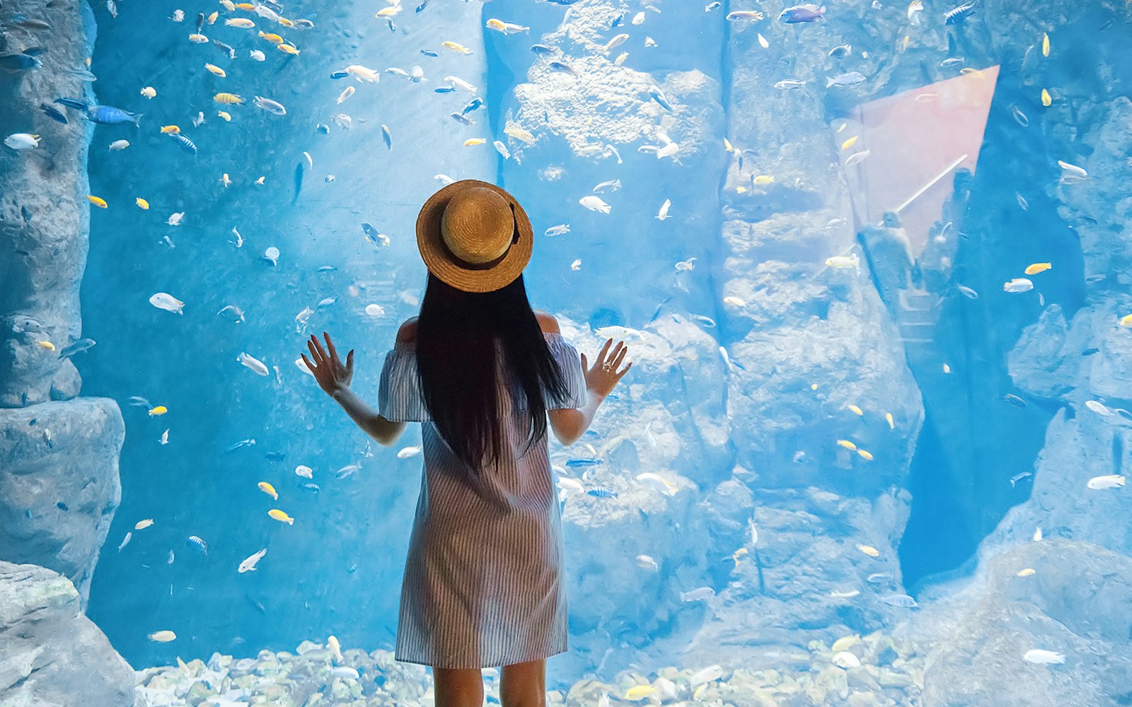 Visitor observing colorful fish at Palma Aquarium.