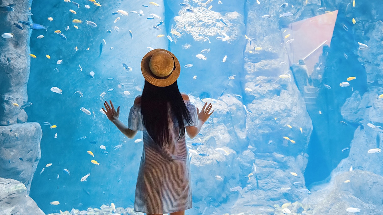 SEA LIFE Bangkok visitor tips