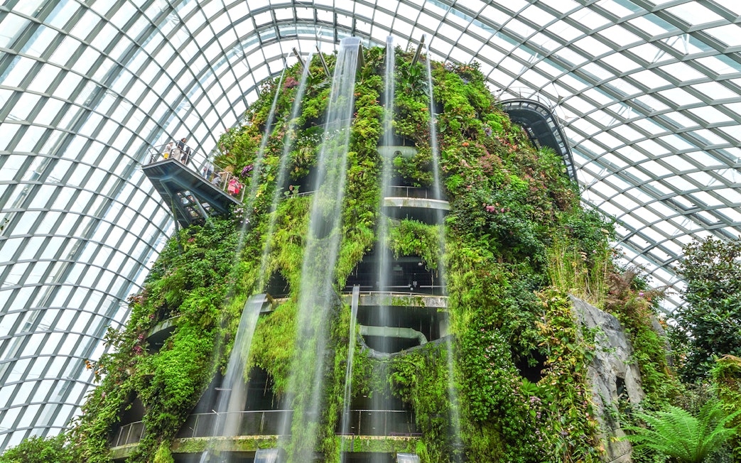 Vertical garden and waterfall inside Flower Dome, Singapore.
