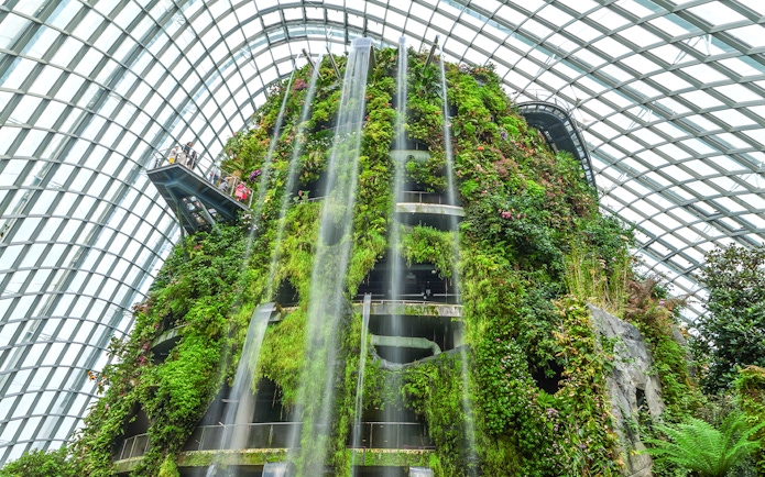 Vertical garden and waterfall inside Flower Dome, Singapore.