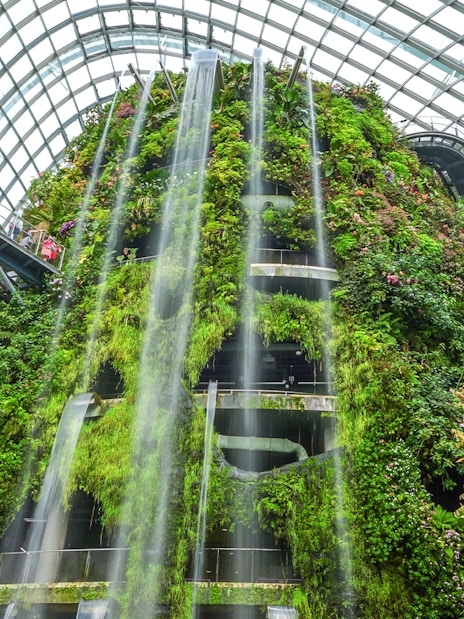 Vertical garden and waterfall inside Flower Dome, Singapore.