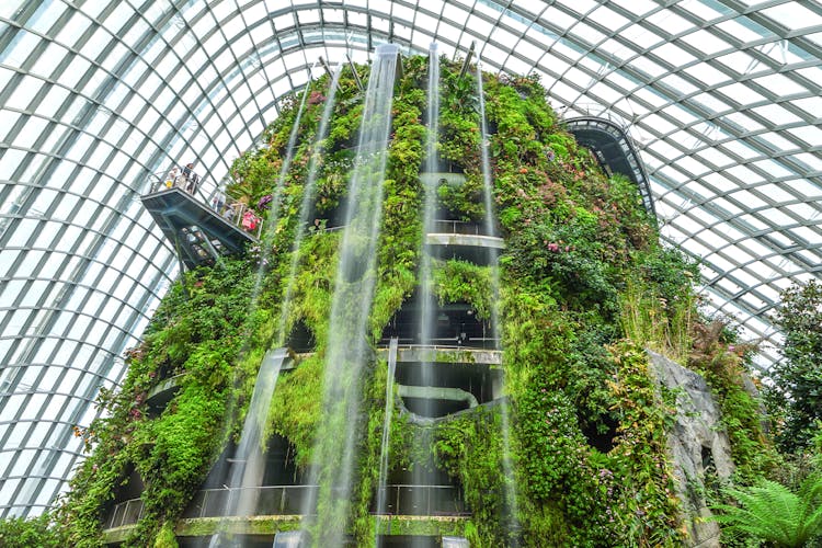 Supertree Observatory and Flower Dome at Gardens by the Bay, Singapore, showcasing iconic vertical gardens