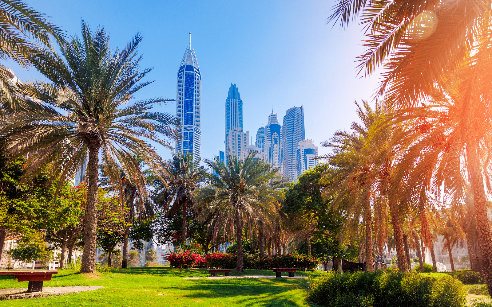Palm trees and skyscrapers in Burj Park, Dubai.
