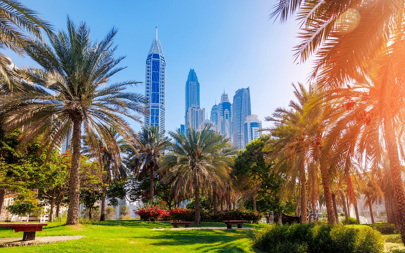 Palm trees and skyscrapers in Burj Park, Dubai.