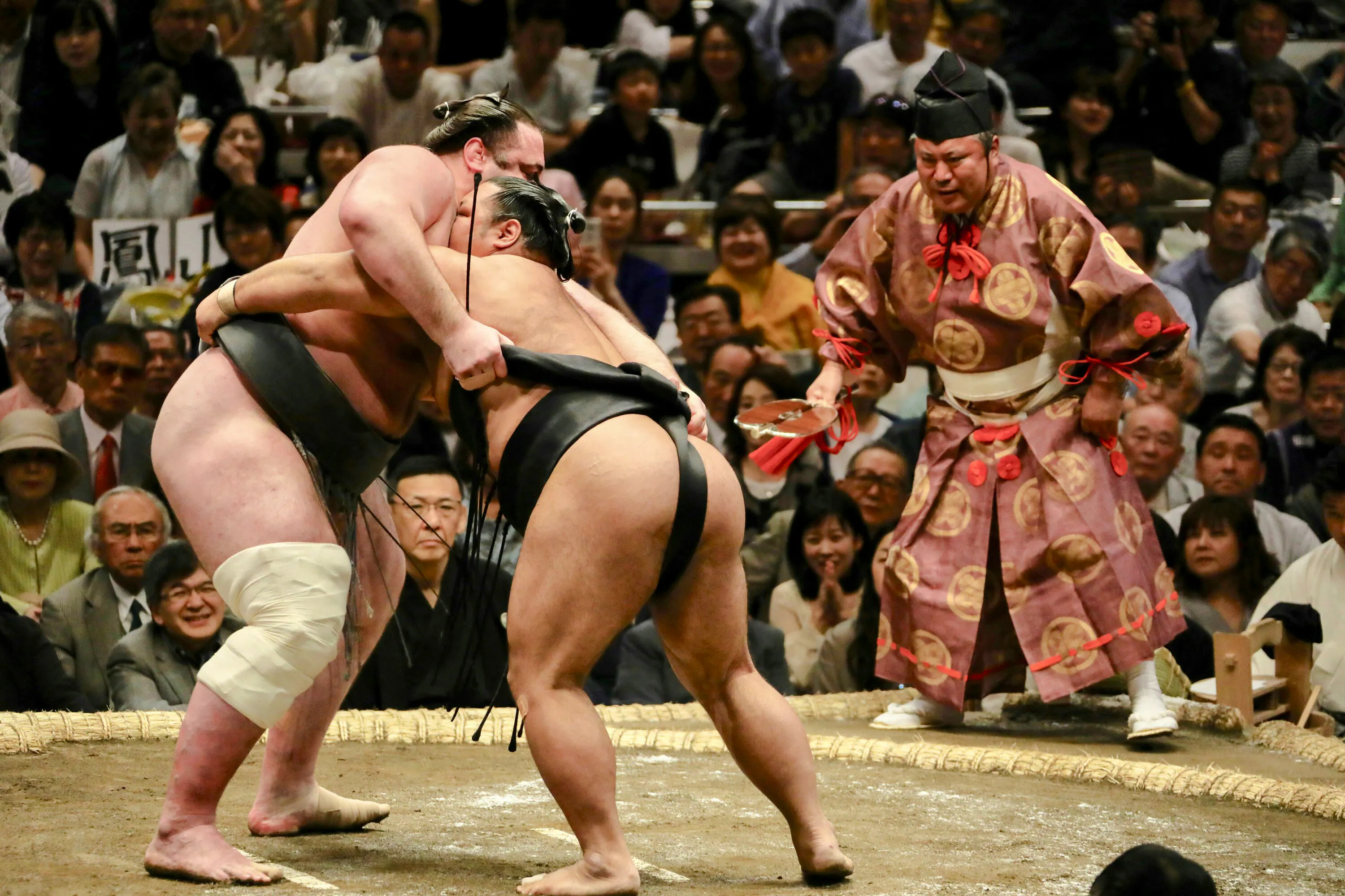 Sumo wrestlers competing in Nagoya Grand Sumo Tournament with referee and audience.