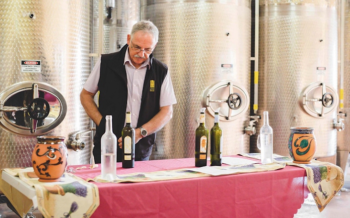 Wine expert leading tasting session in Hunter Valley winery.