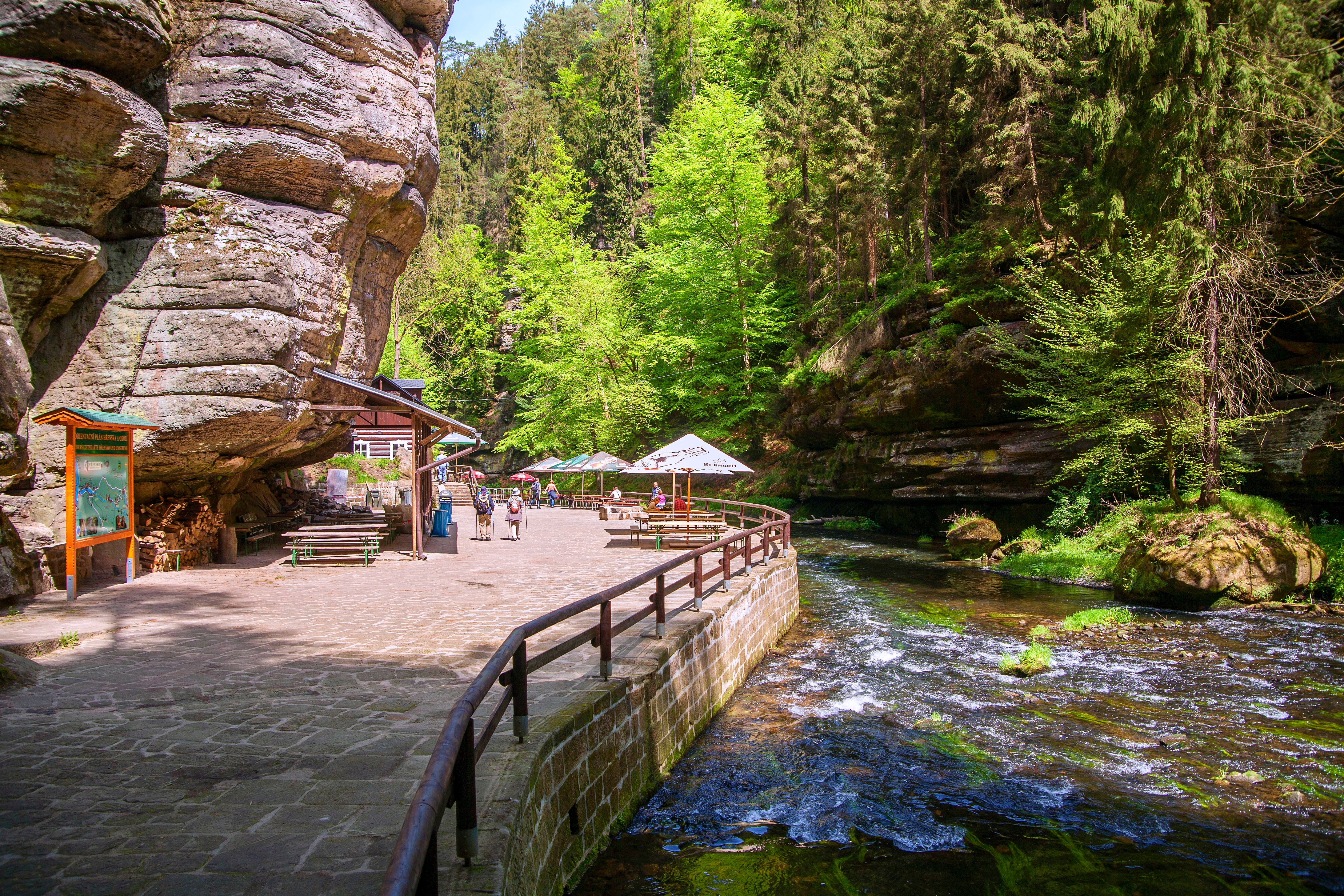 Wild gorge path along the river in Bohemian Switzerland National Park.
