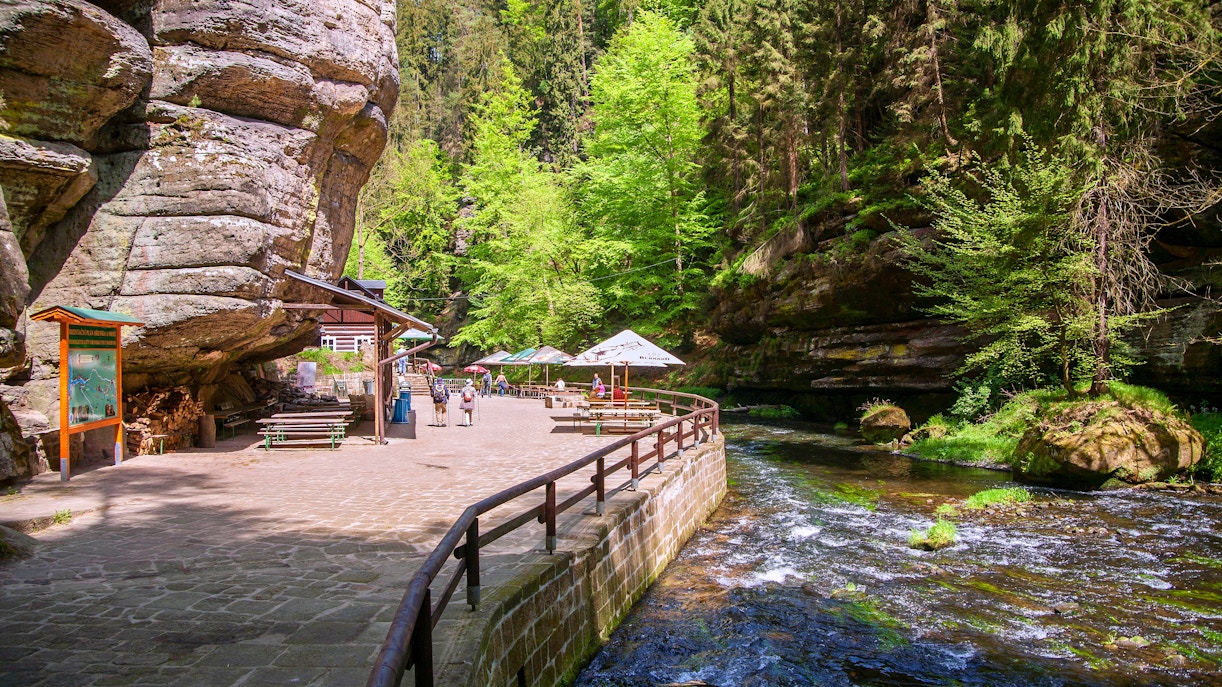 Wild gorge path along the river in Bohemian Switzerland National Park.