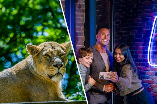 Combo (Save 10%): London Zoo + Madame Tussauds London Tickets