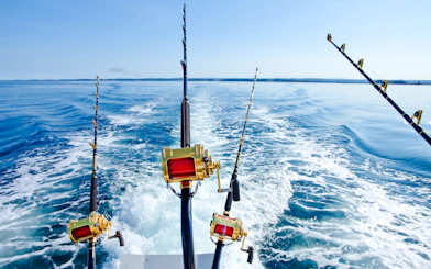 From Side: Open-Sea Fishing Trip with Hotel Transfers