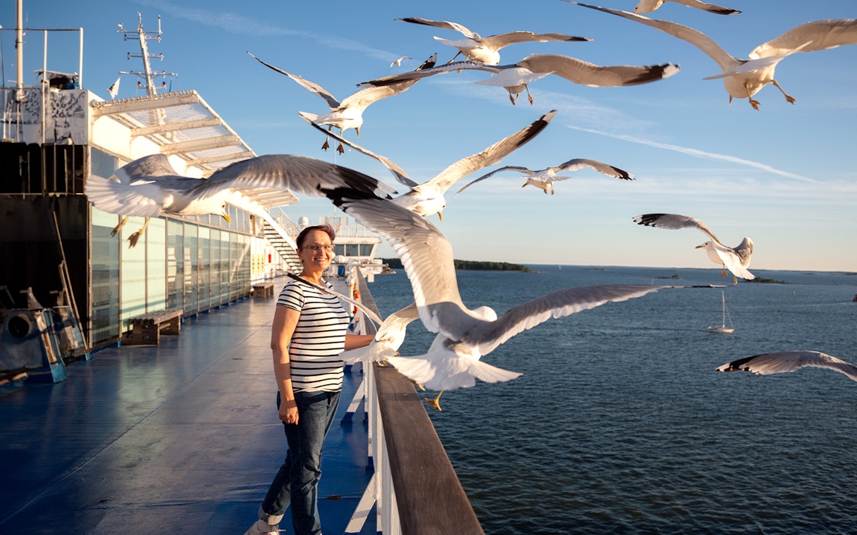 Seagull feeding on Hangang Cruise in Seoul with a view of the water.