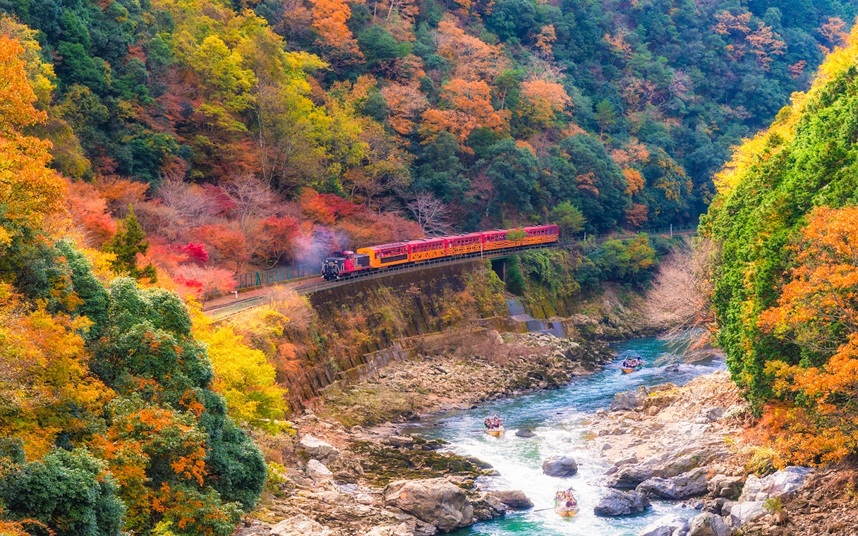 Sagano train traveling through vibrant autumn foliage in Arashiyama, Japan.