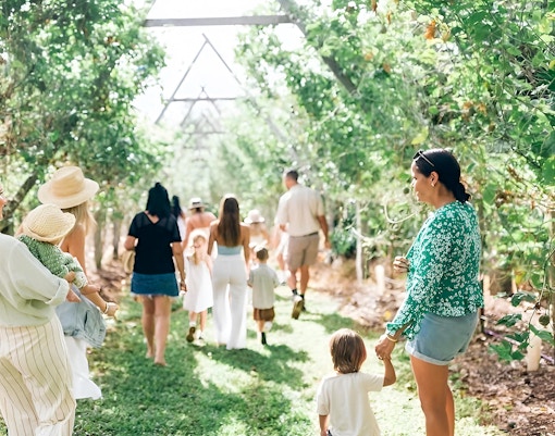 Visitors walking through lush orchard at Tropical Fruit World farm tour.