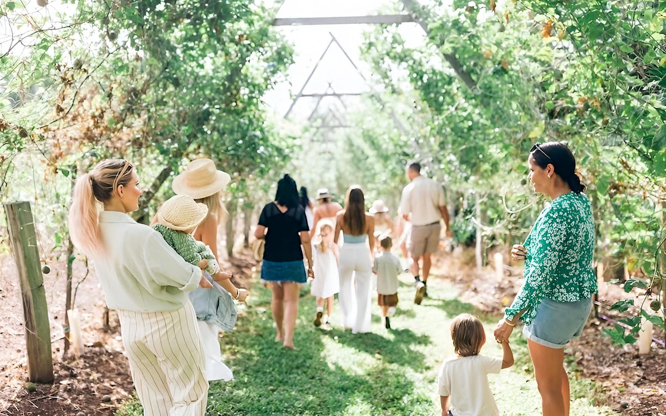 Visitors walking through lush orchard at Tropical Fruit World farm tour.