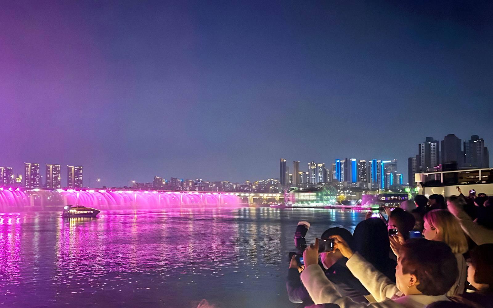 Han River Guided Night Cruise & Hangang Park Picnic