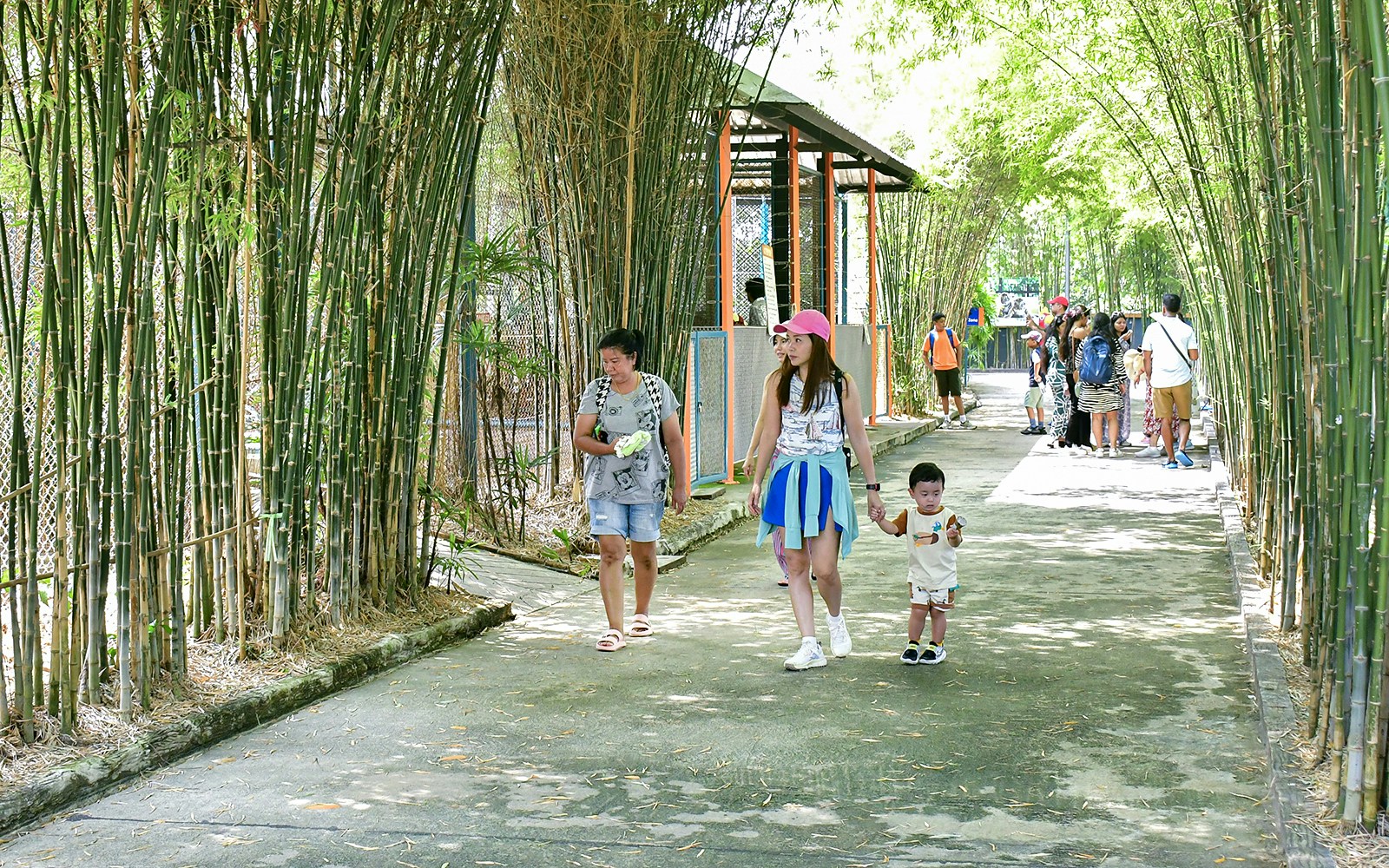 Tiger Park Pattaya