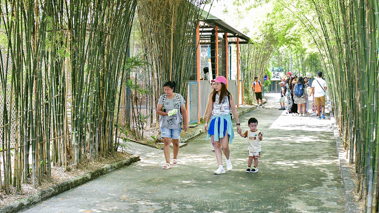 the entrance of Tiger Park Pattaya, a popular tourist attraction in Thailand