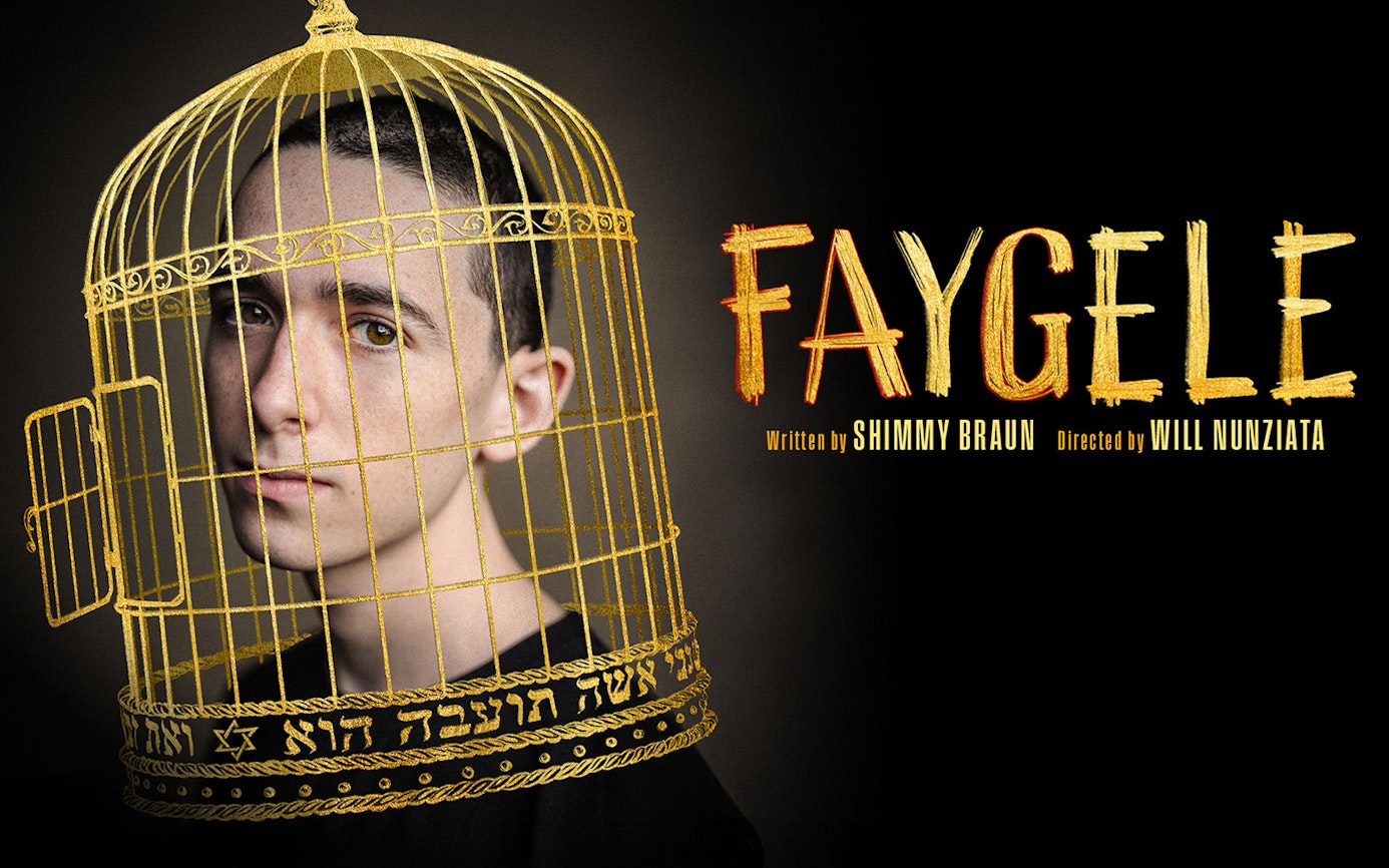 Person inside a golden birdcage with the title 'Faygele' in bold letters.