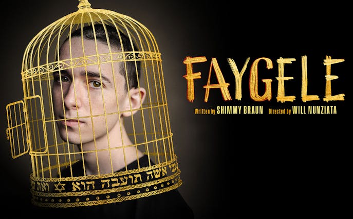 Person inside a golden birdcage with the title 'Faygele' in bold letters.