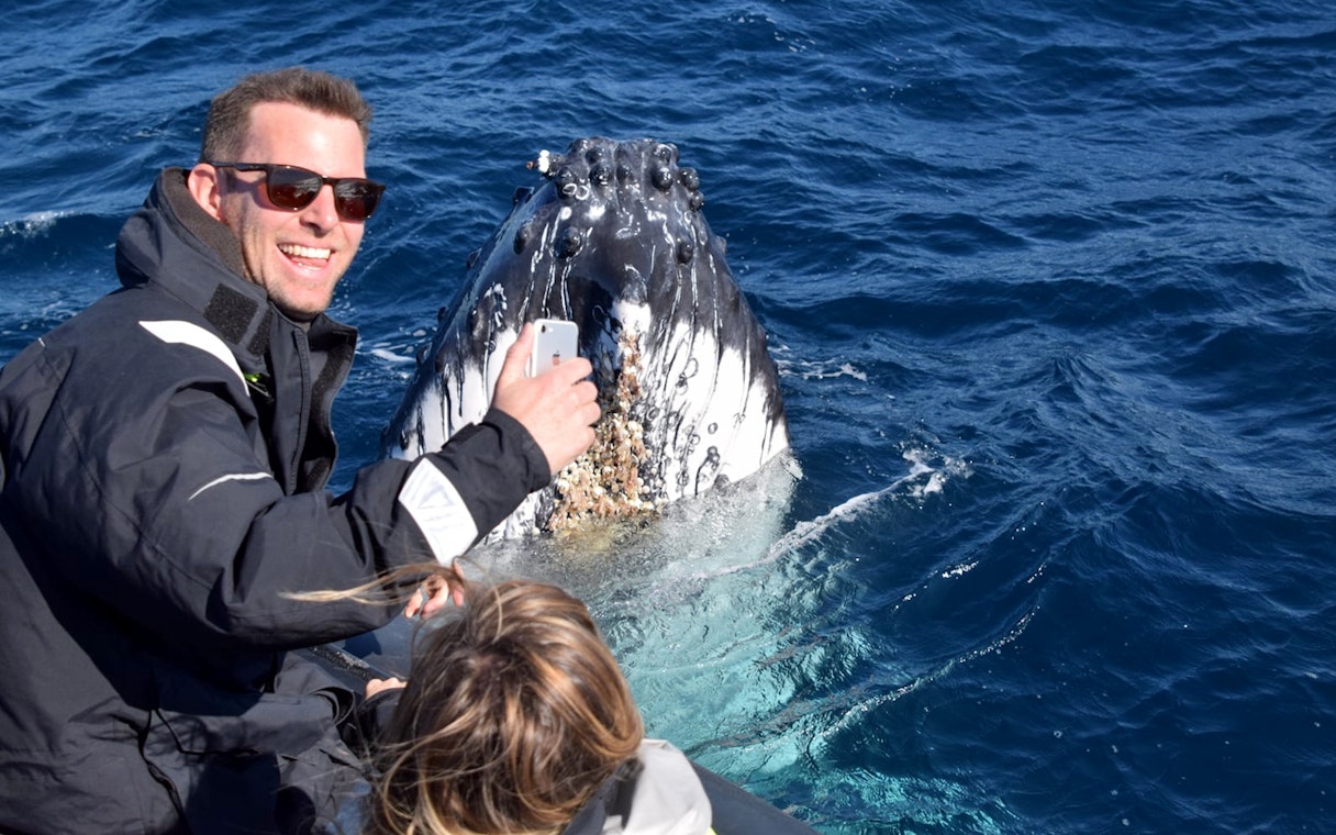Man photographing whale surfacing near inflatable boat on Sydney adventure cruise.