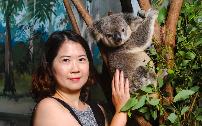 Person interacting with a koala at Dreamworld, Gold Coast, during Corroboree & Australian Wildlife tour.