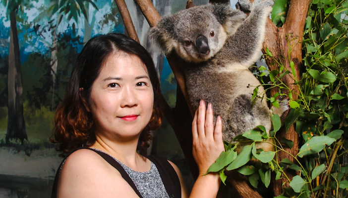 Woman posing with a koala at Corroboree and Australian wildlife at Dreamworld, Gold Coast.