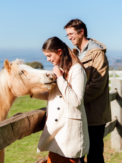 Visitors interacting with a horse at Churchill Island farm.