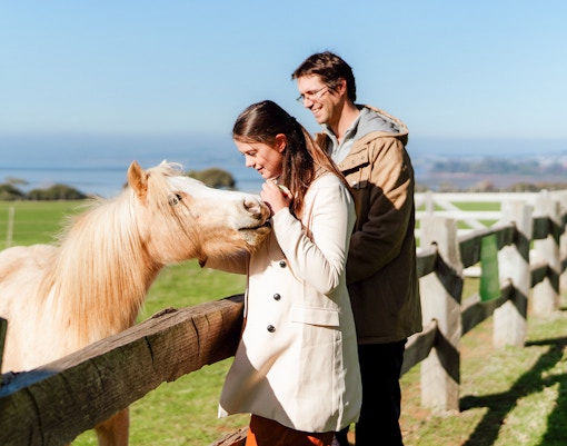 Churchill Island - Phillip Island tours