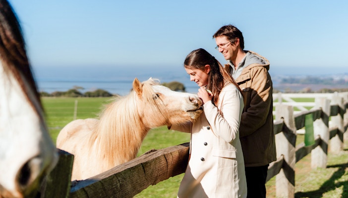 Visitors interacting with horses at Churchill Island farm, Melbourne, Australia.