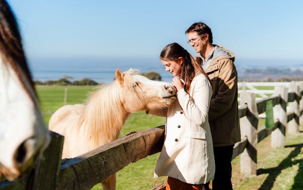 Visitors interacting with a horse at Churchill Island farm.