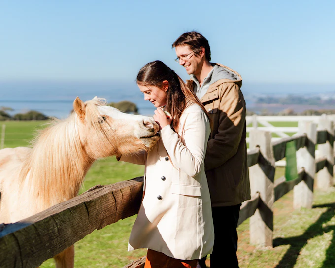 Churchill Island Tickets & Optional Entry to Phillip Island Nature Parks