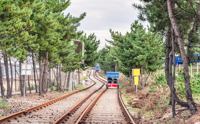 Rail bikes on track through pine trees near Nami Island, South Korea.