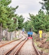 Gangchon Rail Park: 4:20pm to 5:50pm