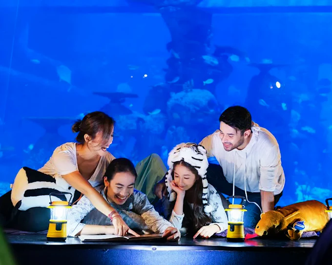 Jakarta Aquarium Safari Tickets