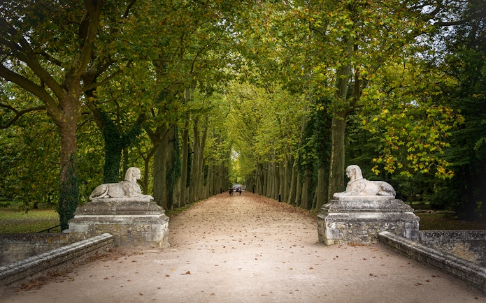 Pathway lined with trees and stone sphinxes at Chenonceau Castle, France.