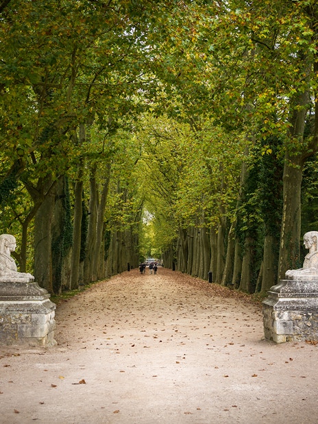 Pathway lined with trees and stone sphinxes at Chenonceau Castle, France.