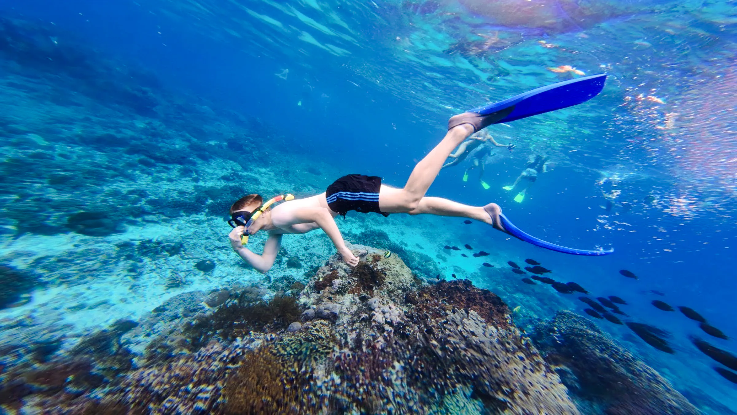 guidet snorkeludflugt ved blue lagoon og tanjung jepun på bali-1