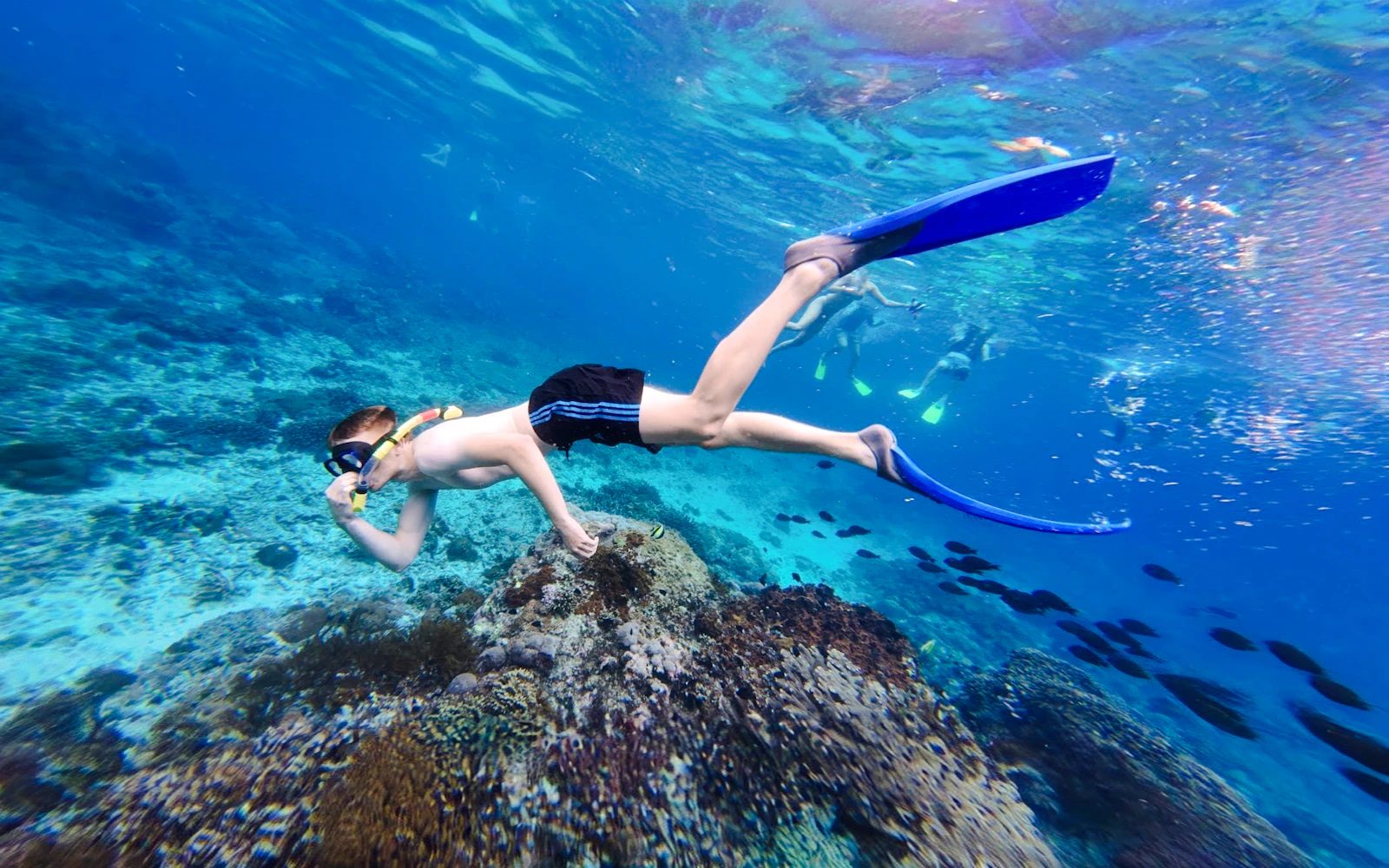 Bali: Blue Lagoon & Tanjung Jepun Guided Snorkeling (Product 54822)