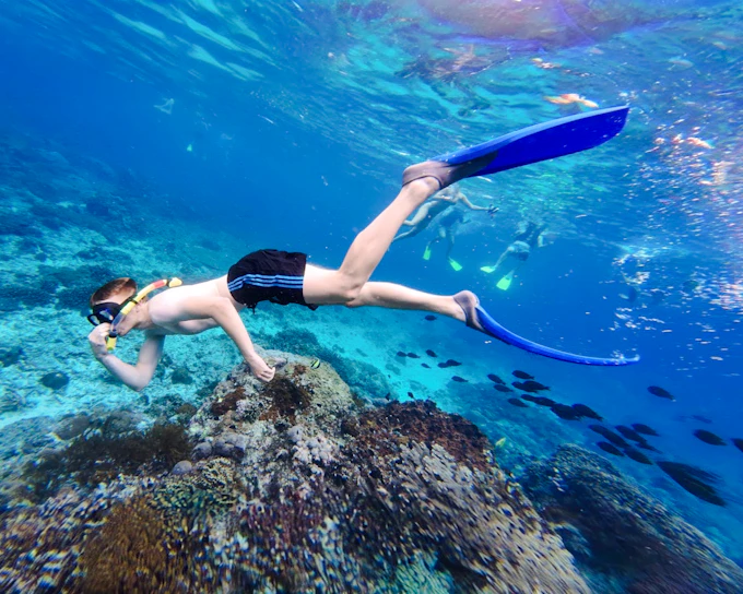Bali: Blue Lagoon & Tanjung Jepun Guided Snorkeling