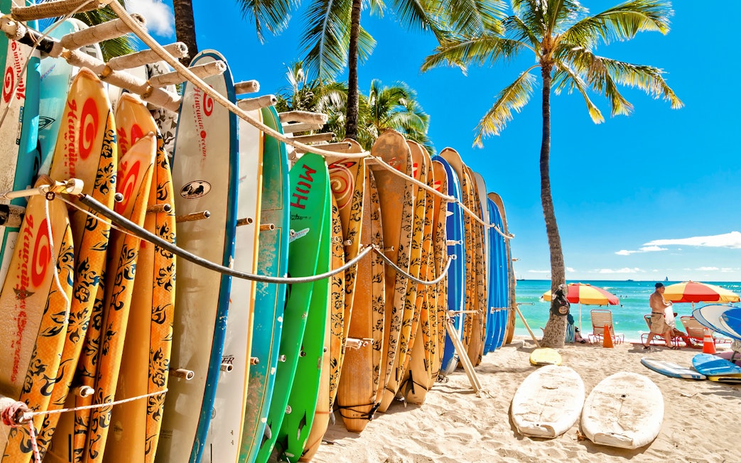 Surfboards in a rack on Waikiki Beach with palm trees and ocean in the background.