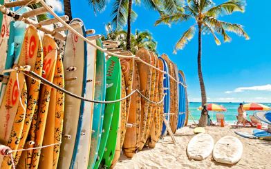 Surfboards in a rack on Waikiki Beach with palm trees and ocean in the background.