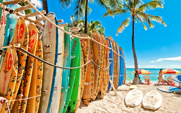 Surfboards in a rack on Waikiki Beach with palm trees and ocean in the background.