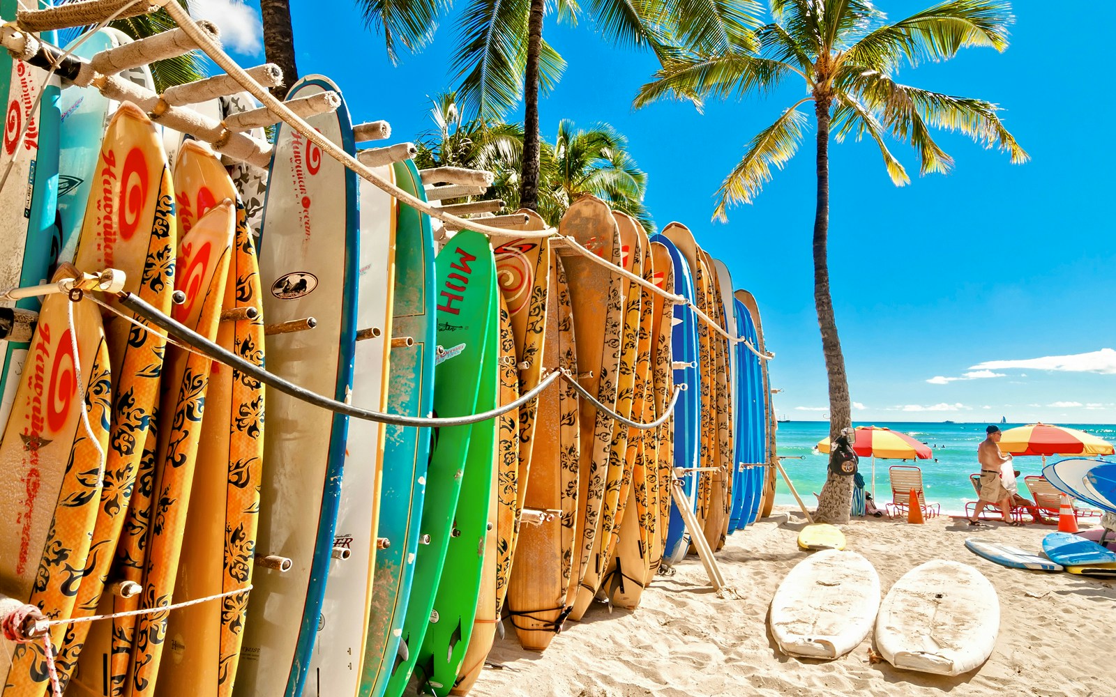 Surfboards in a rack on Waikiki Beach with palm trees and ocean in the background.