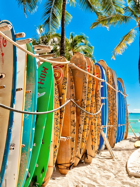 Surfboards in a rack on Waikiki Beach with palm trees and ocean in the background.
