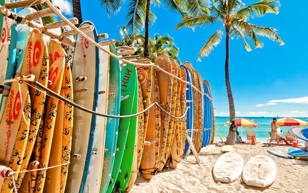 Surfboards in a rack on Waikiki Beach with palm trees and ocean in the background.